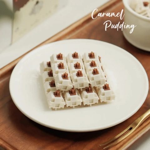 HMX Caramel Pudding 리니어
