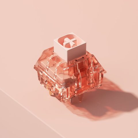 카일 박스 Rosa 핑크 리니어