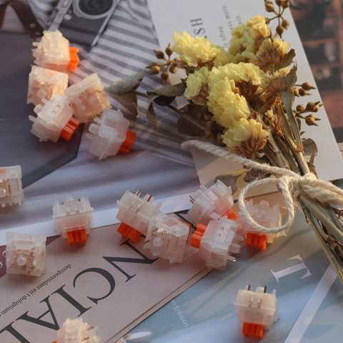 KBDFans EMOTOYS Little Daisy 저소음 리니어