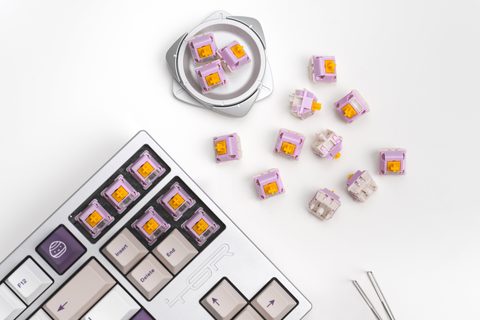 Keebz N Cables Taro N Sweet Potato 리니어 V2