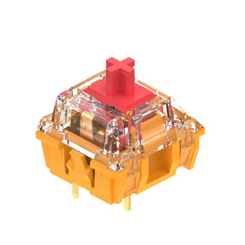 TTC Golden 적축 V3