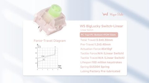 우큐 스튜디오 WS BigLucky 리니어